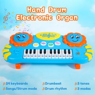 Instrumente muzikore lodër